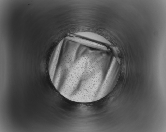 X0000088920616200706291528