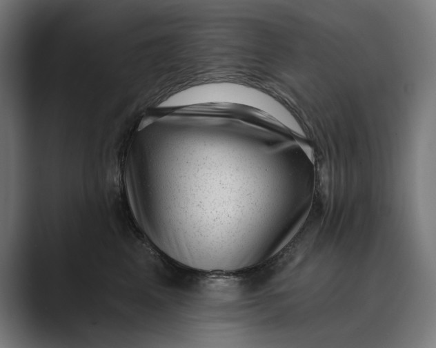 X0000088920617200706291528