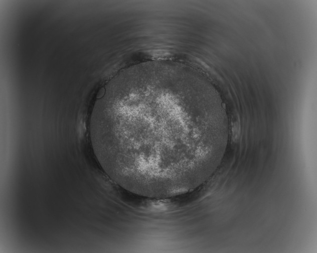 X0000088920618200706291528