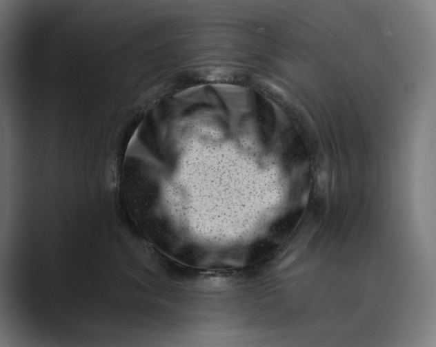 X0000088920620200706291528
