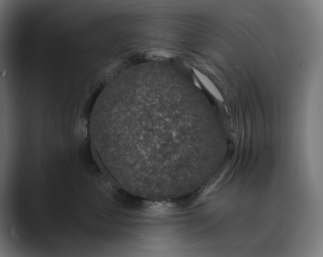 X0000088920621200706291528