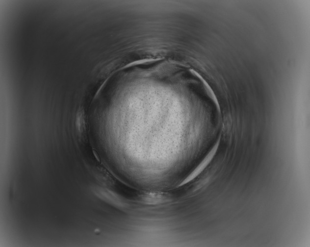 X0000088920623200706291528