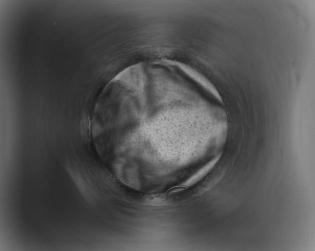 X0000088920624200706291528