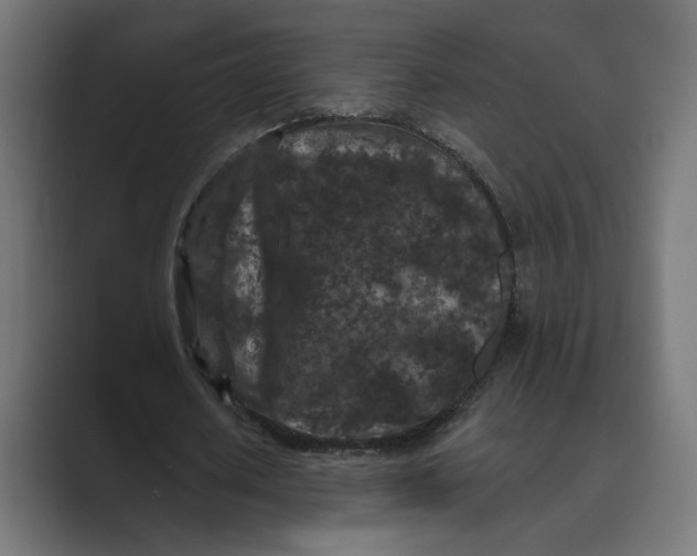 X0000088920626200706291528