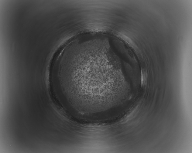 X0000088920627200706291528