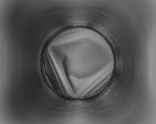 X0000088920629200706291528