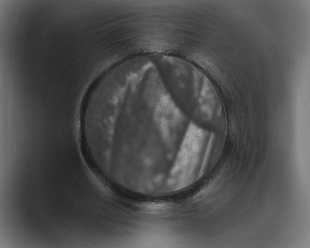 X0000088920630200706291528
