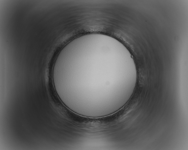 X0000088920631200706291528