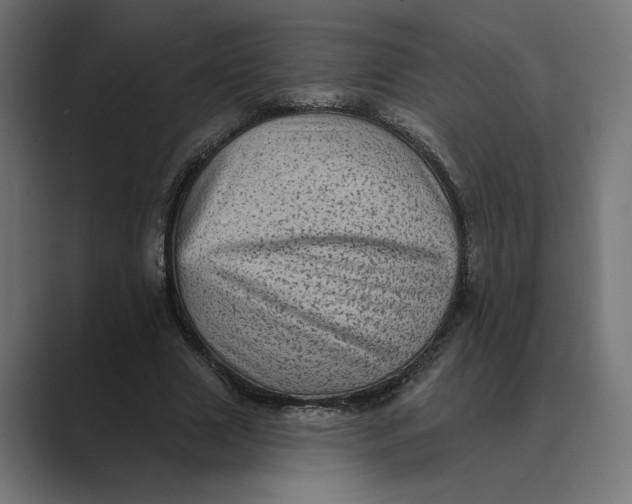 X0000088920633200706291528
