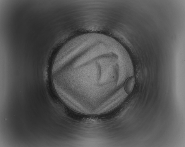 X0000088920635200706291528
