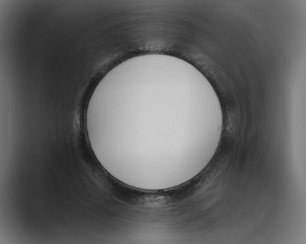 X0000088920636200706291528