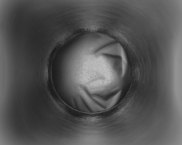 X0000088920638200706291528
