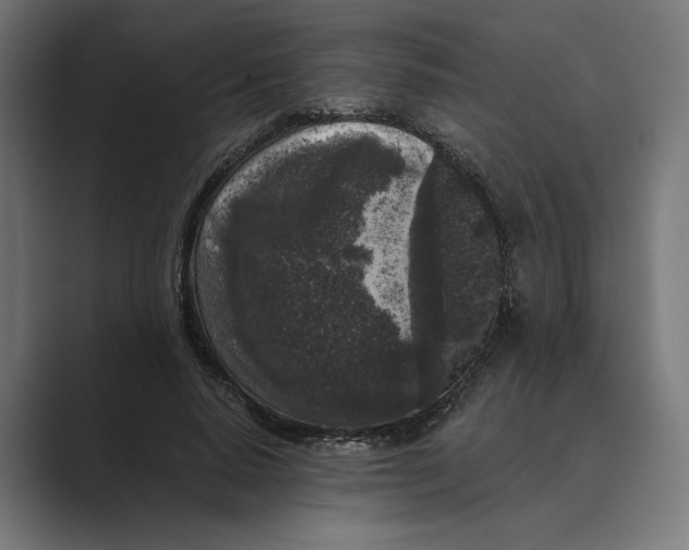 X0000088920640200706291528