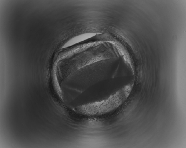 X0000088920641200706291528