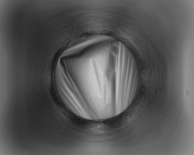 X0000088920642200706291528