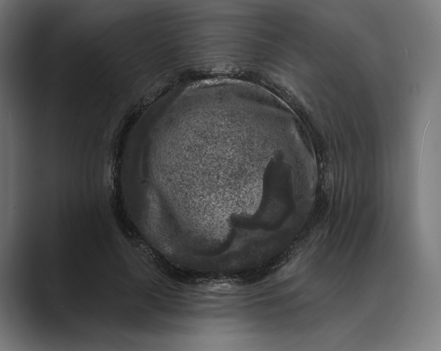 X0000088920643200706291528