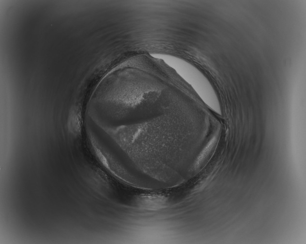 X0000088920644200706291528