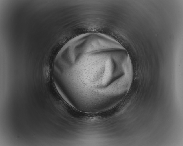 X0000088920646200706291528