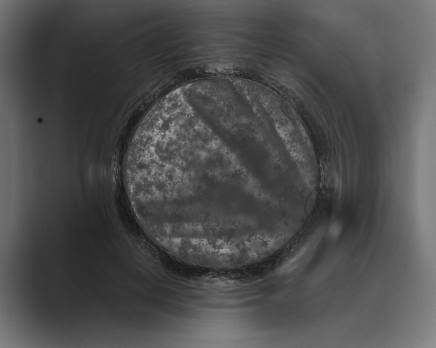 X0000088920648200706291528