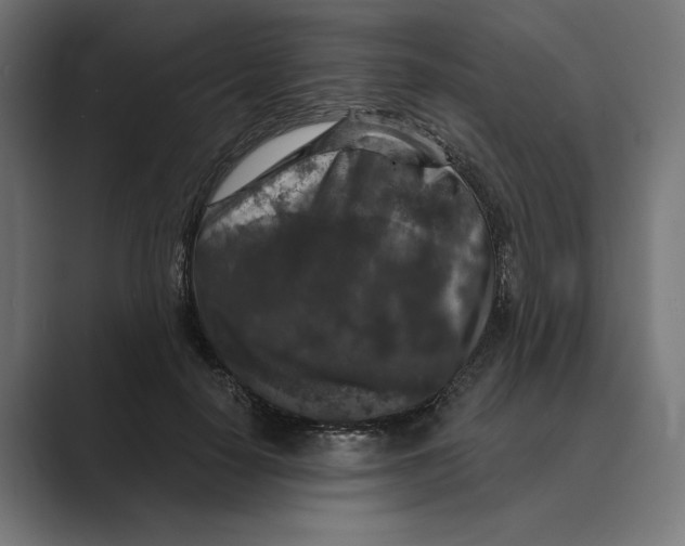 X0000088920650200706291528