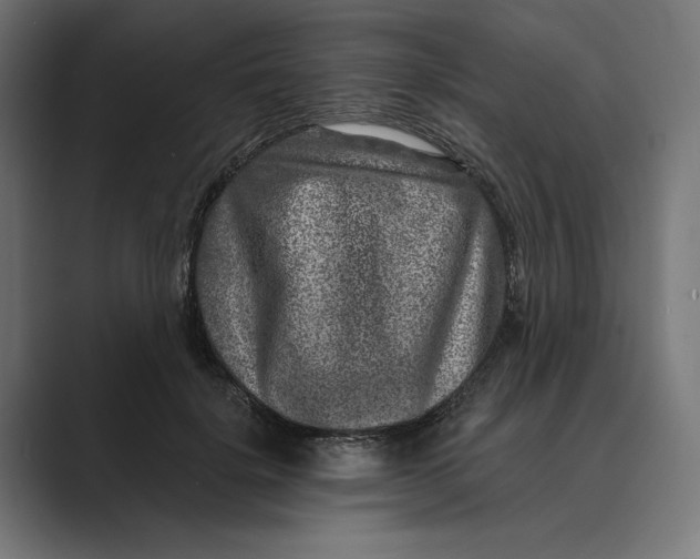 X0000088920652200706291528