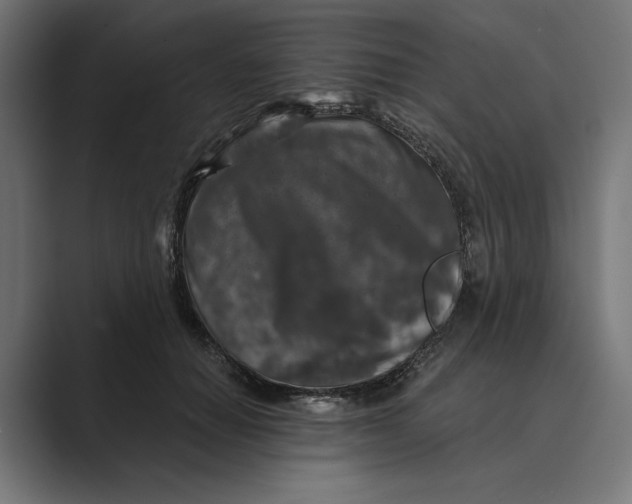 X0000088920654200706291528