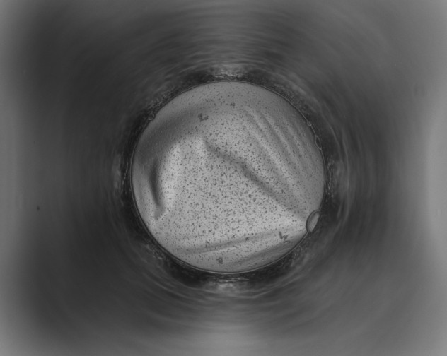 X0000088920655200706291528