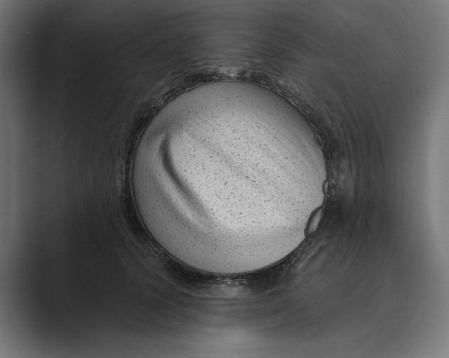 X0000088920656200706291528