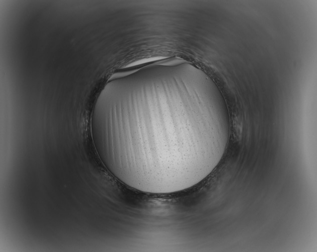 X0000088920657200706291528