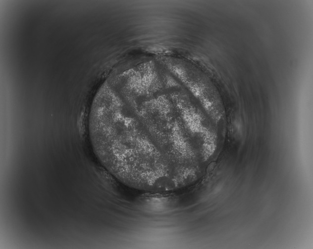 X0000088920658200706291528