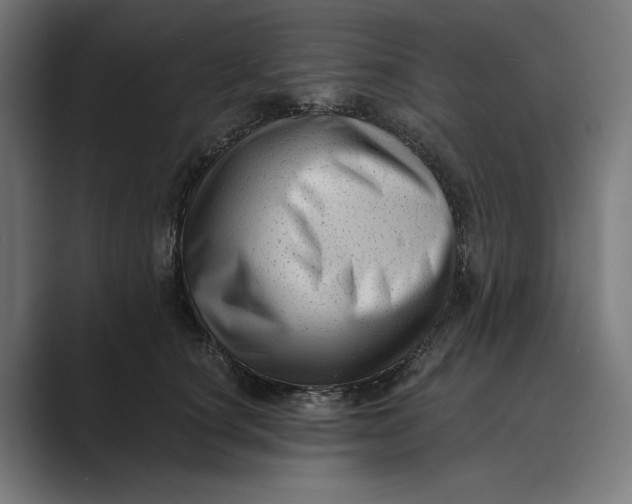X0000088920660200706291528