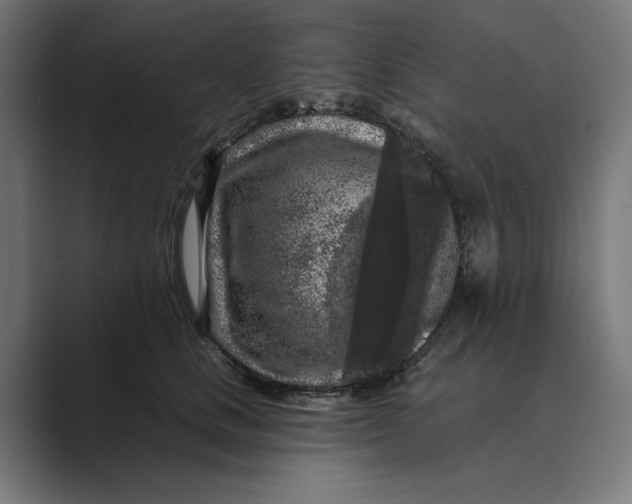 X0000088920661200706291528