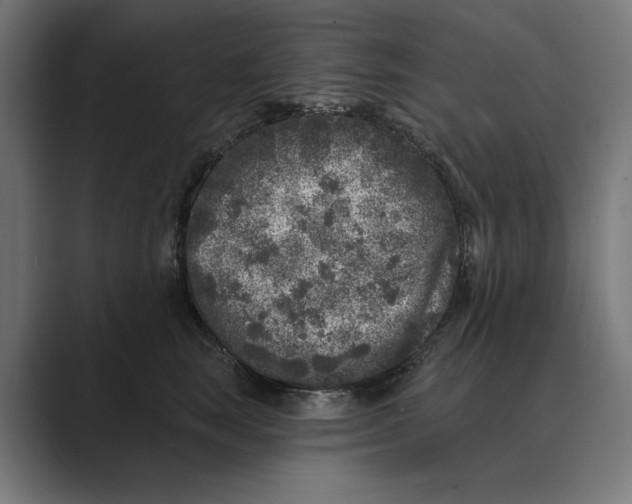 X0000088920663200706291528