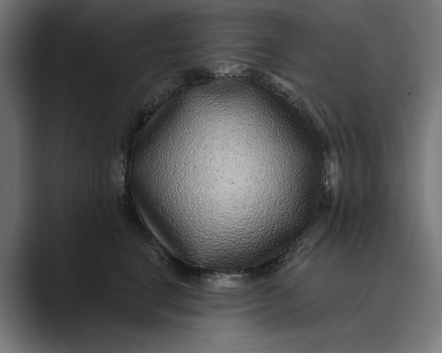 X0000088920664200706291528