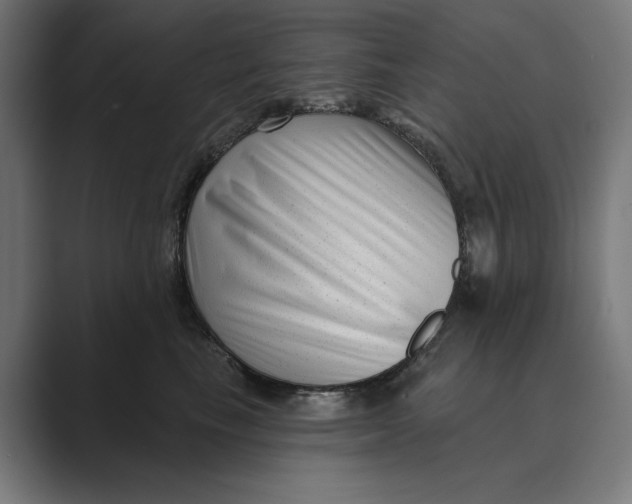 X0000088920665200706291528