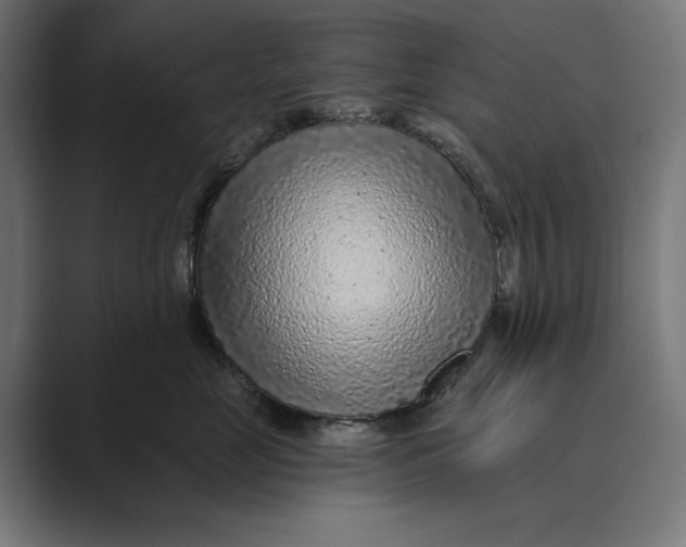 X0000088920669200706291528