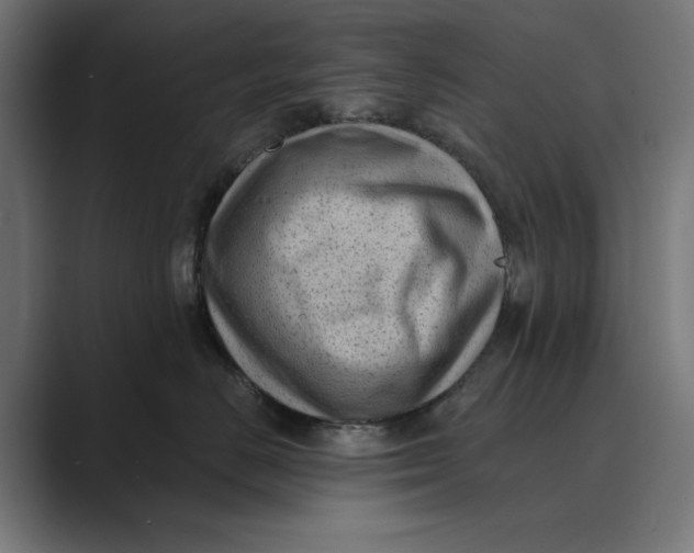 X0000088920670200706291528