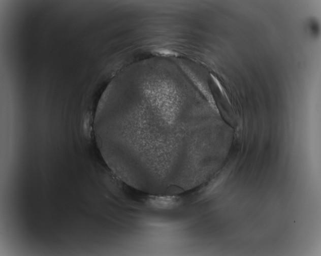 X0000088920671200706291528
