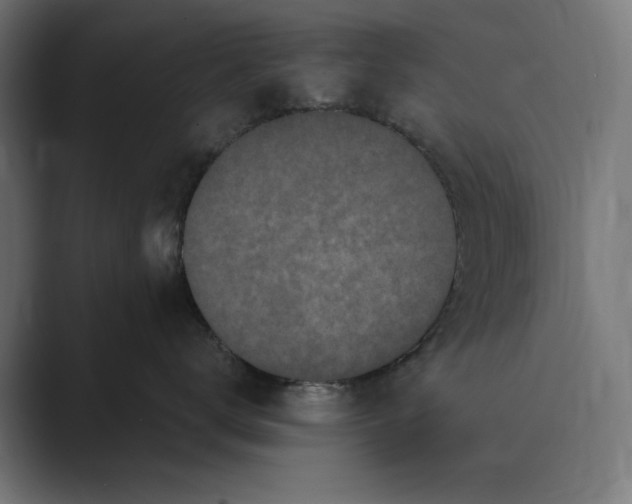 X0000088920672200706291528