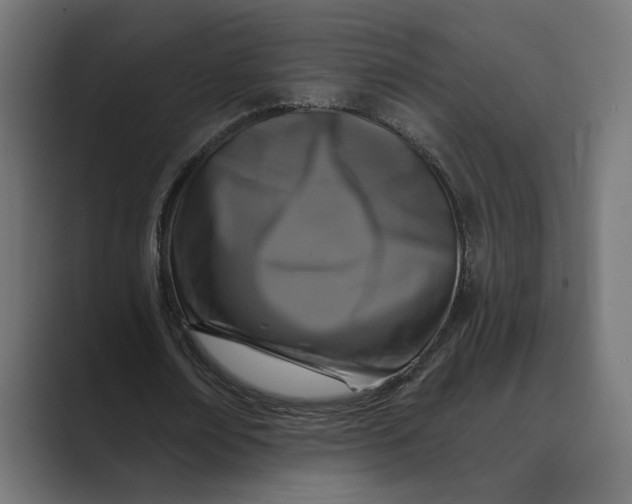 X0000088920674200706291528