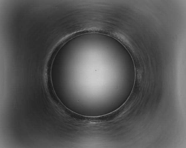 X0000088920676200706291528