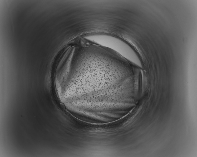 X0000088920677200706291528