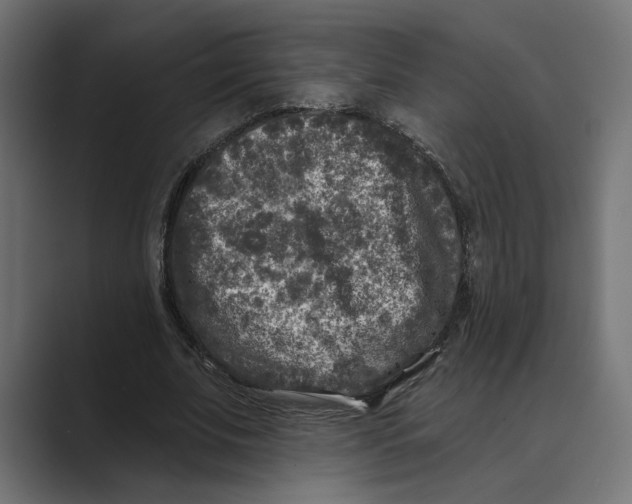 X0000088920679200706291527