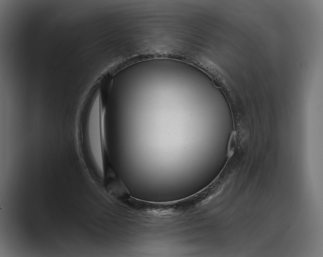 X0000088920680200706291527