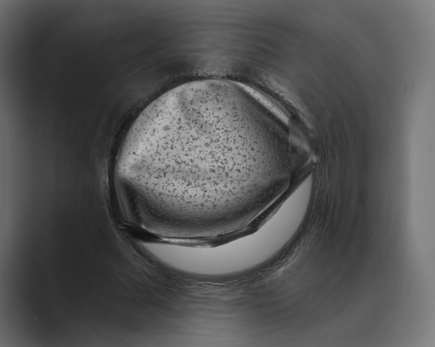 X0000088920681200706291527