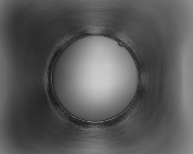 X0000088920682200706291527