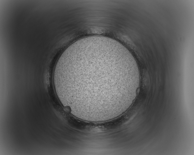 X0000088920683200706291527