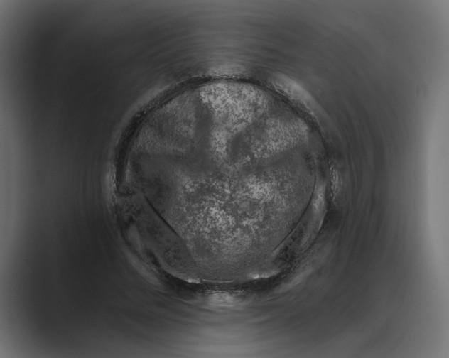 X0000088920684200706291527
