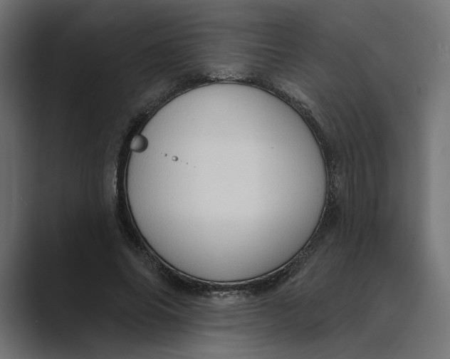 X0000088920686200706291527