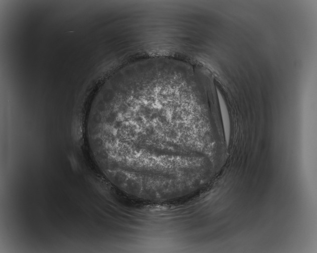 X0000088920687200706291527
